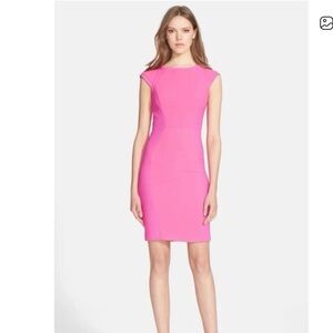 Ted Baker Fuchsia Dress